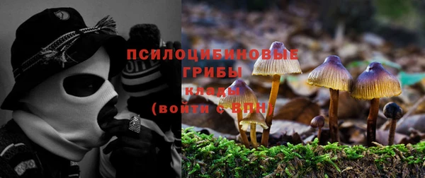 ECSTASY Армянск