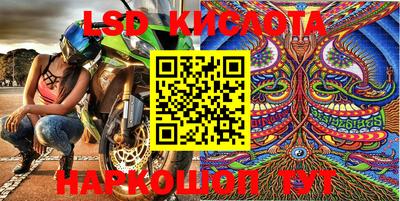 спайс Аргун