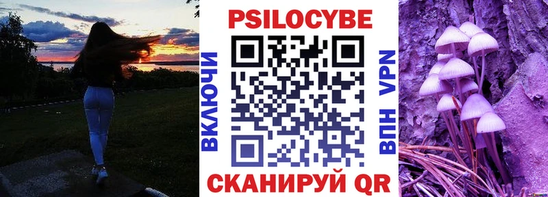 Галлюциногенные грибы прущие грибы  Купить где  Ахтубинск 