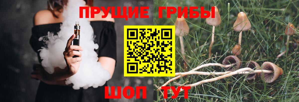 Псилоцибиновые грибы Magic Shrooms  Ахтубинск  Галлюциногенные грибы мицелий 