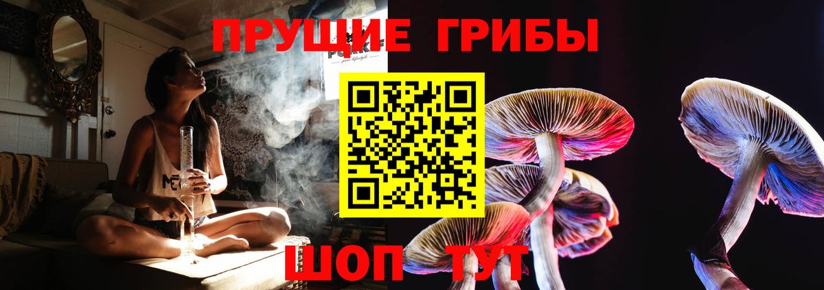 Ахтубинск  Псилоцибиновые грибы мицелий  Галлюциногенные грибы Psilocybe  Вход с VPN 