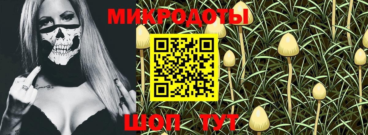 Псилоцибиновые грибы ЛСД Ахтубинск