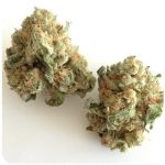 Шишки "White Widow"  (Белая вдова)  Гидропоника -  Бошка VHQ в Ахтубинске